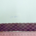 CYY3801