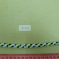 CYY3813