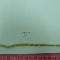 CYY3819