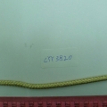 CYY3820