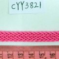 CYY3821
