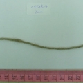 CYY3823