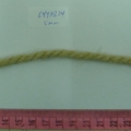 CYY3824