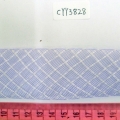 CYY3828
