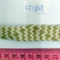 CYY3829