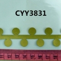 CYY3831