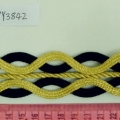 CYY3842