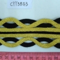 CYY3843