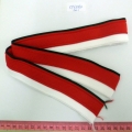 CYY3850