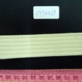 CYY3869