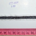 CYY3889