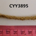 CYY3895