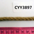 CYY3897