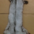 CYY3922