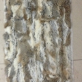 CYY3923 col.1