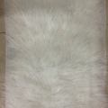 CYY3934 COL.2