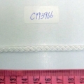 CYY3966
