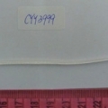 CYY3999