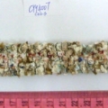 CYY4007