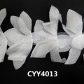CYY4013