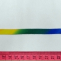 CYY4017