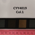 CYY4019