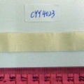 CYY4023