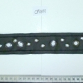 CYY4081