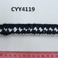 CYY4119