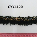 CYY4120