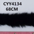 CYY4134