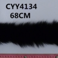 CYY4134