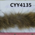 CYY4135