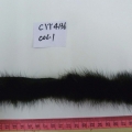 CYY4136