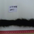 CYY4136