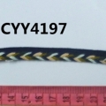 CYY4197
