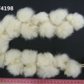 CYY4198