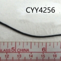 CYY4256