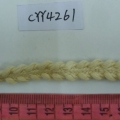 CYY4261