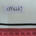 CYY4267