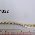 CYY4352