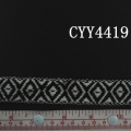 CYY4419