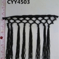 CYY4503