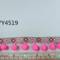 CYY4519