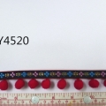 CYY4520