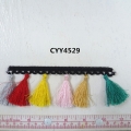 CYY4529