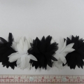 CYY4541
