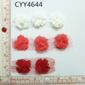 CYY4644