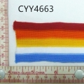 CYY4663