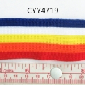 CYY4719